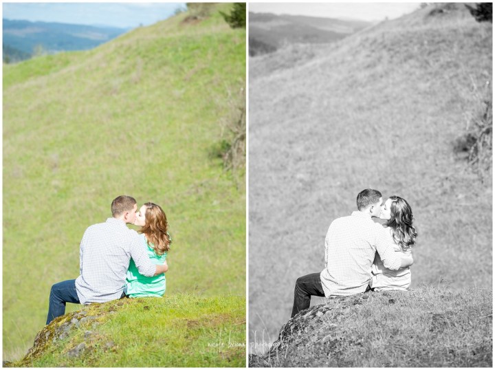 nicolebriannphotography_engagement_D_and_L_0008
