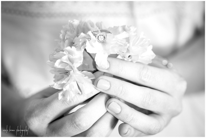 nicolebriannphotography_engagement_D_and_L_0044