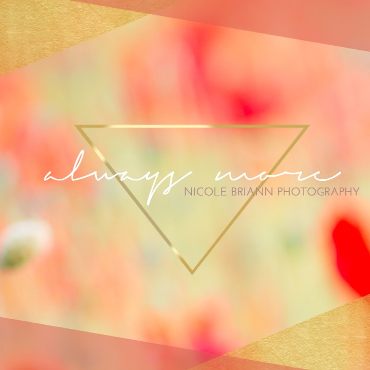 always more floral copy